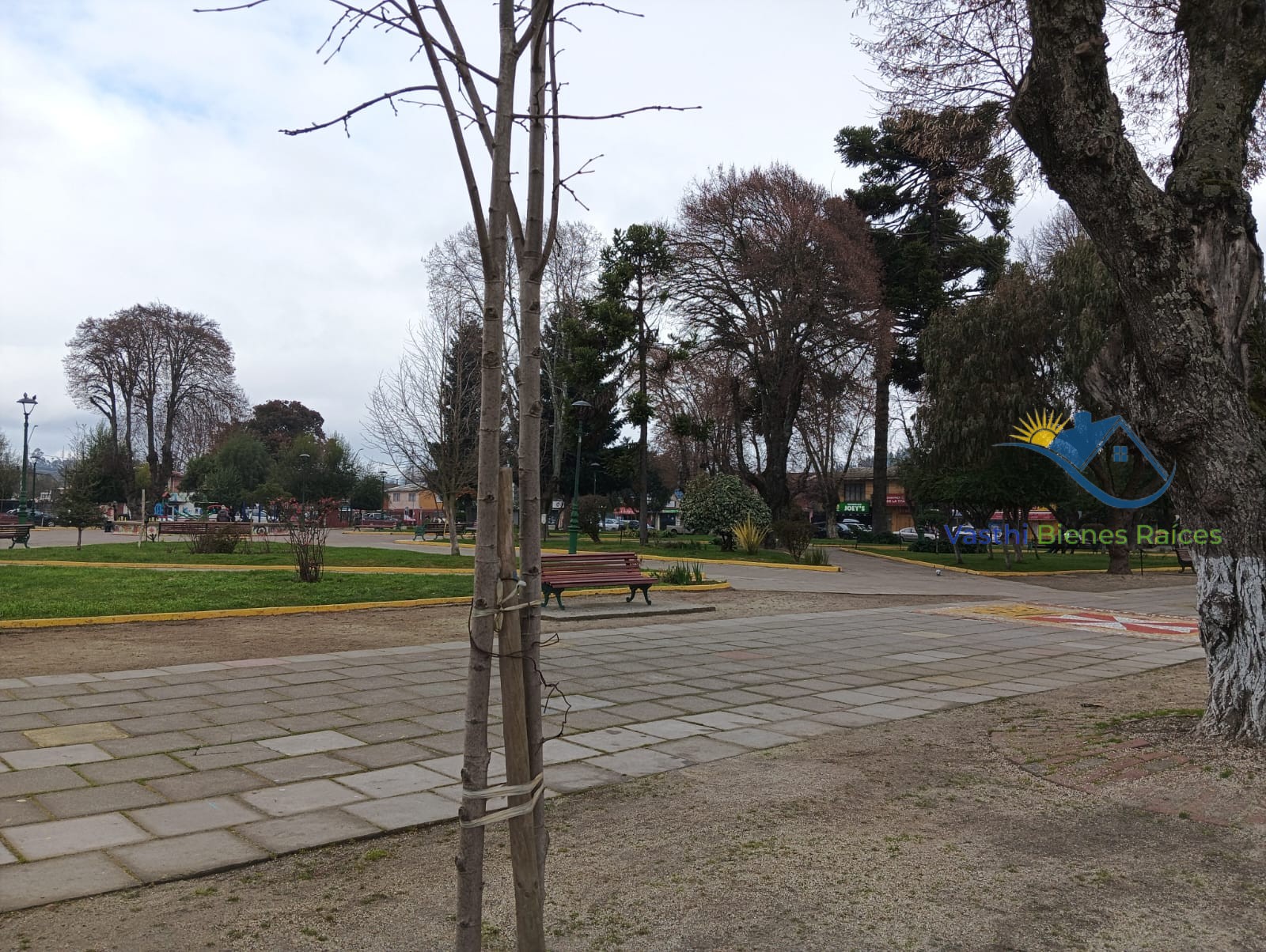 Imagen de WhatsApp 2025-07-22 a las 12.09.09_2a8dbd79