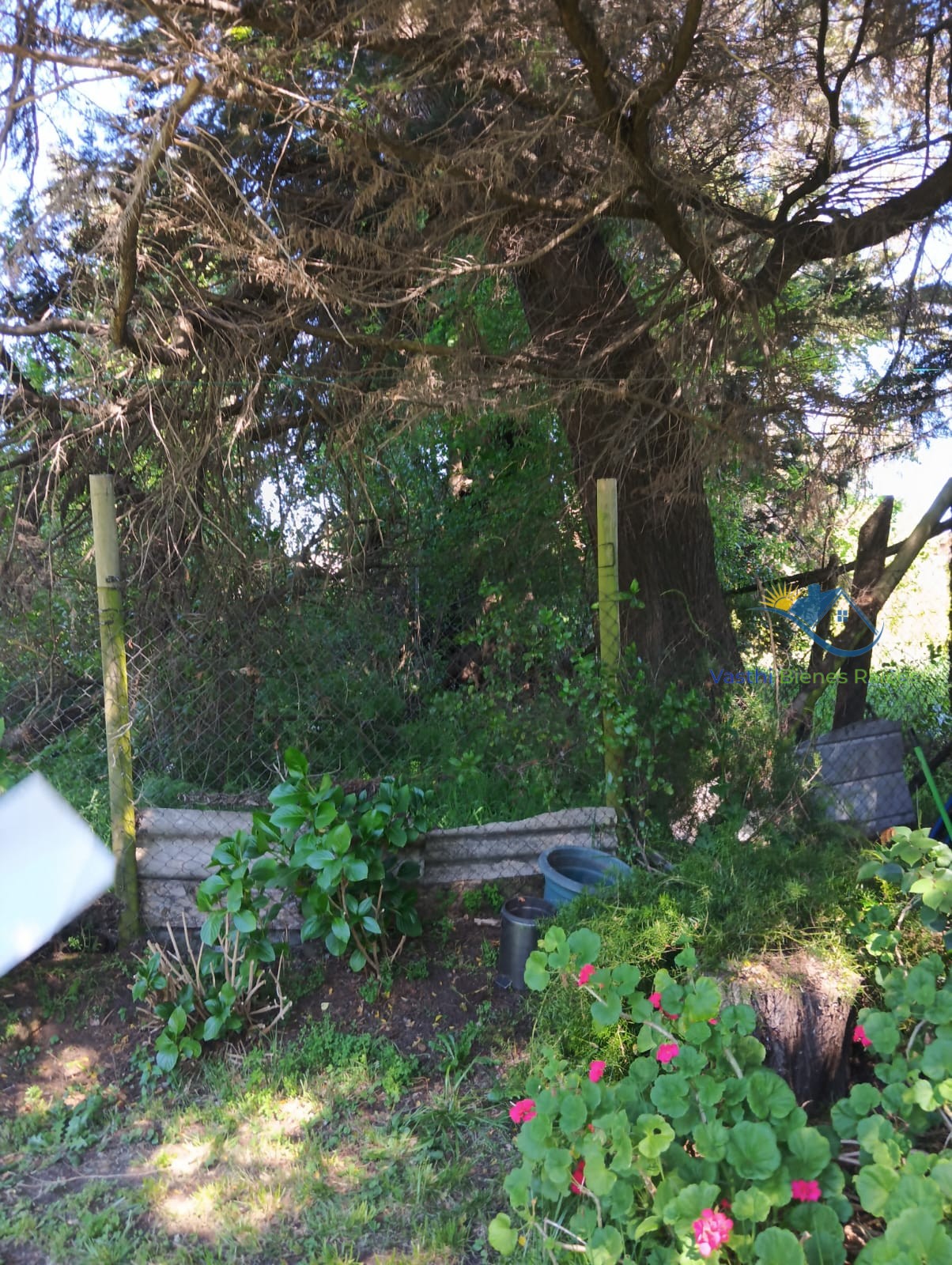 Imagen de WhatsApp 2025-10-08 a las 12.04.32_02d4aa43