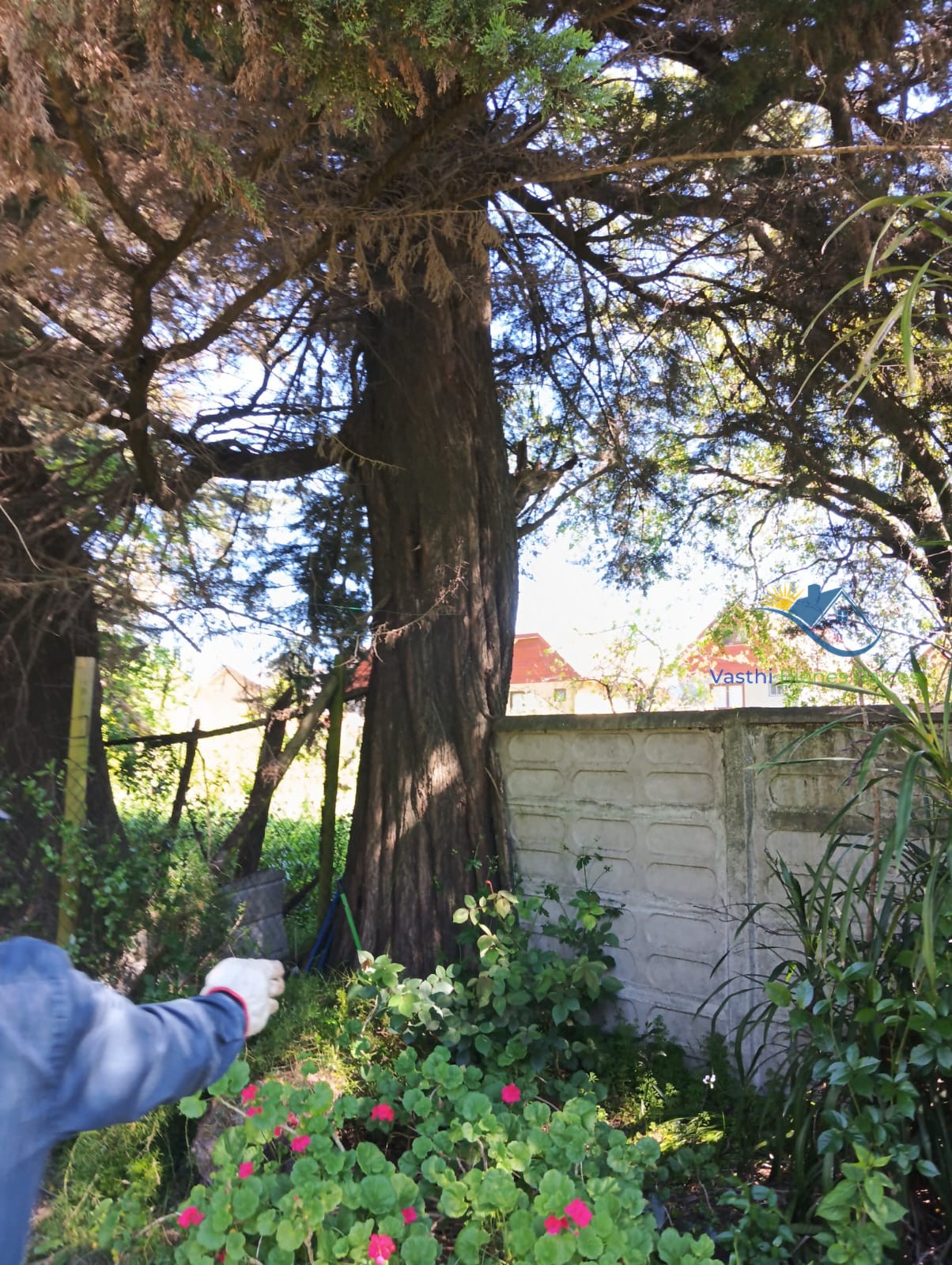 Imagen de WhatsApp 2025-10-08 a las 12.04.32_544b06c7