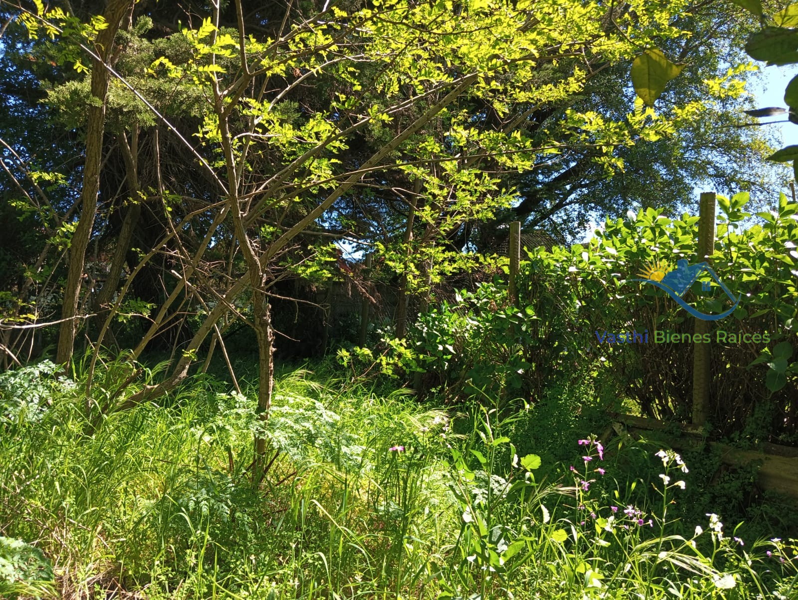 Imagen de WhatsApp 2025-10-08 a las 12.04.33_ce5c5e8f