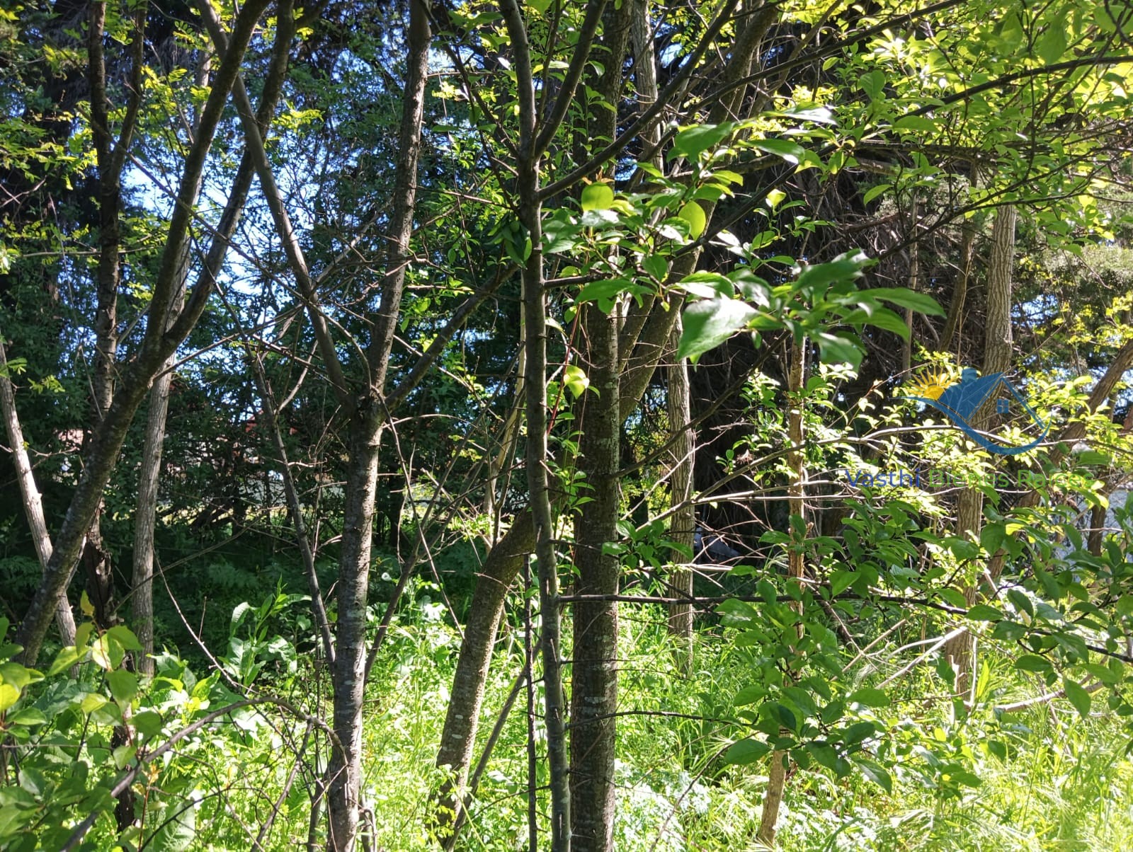 Imagen de WhatsApp 2025-10-08 a las 12.04.34_356f6a6c