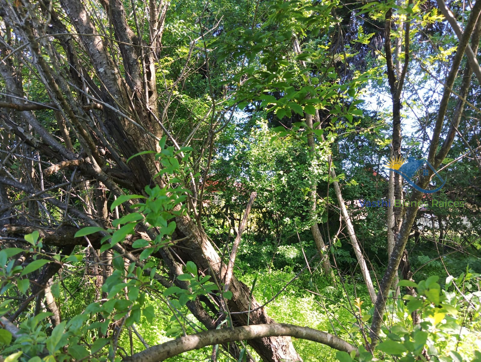 Imagen de WhatsApp 2025-10-08 a las 12.04.34_8ed3c39e