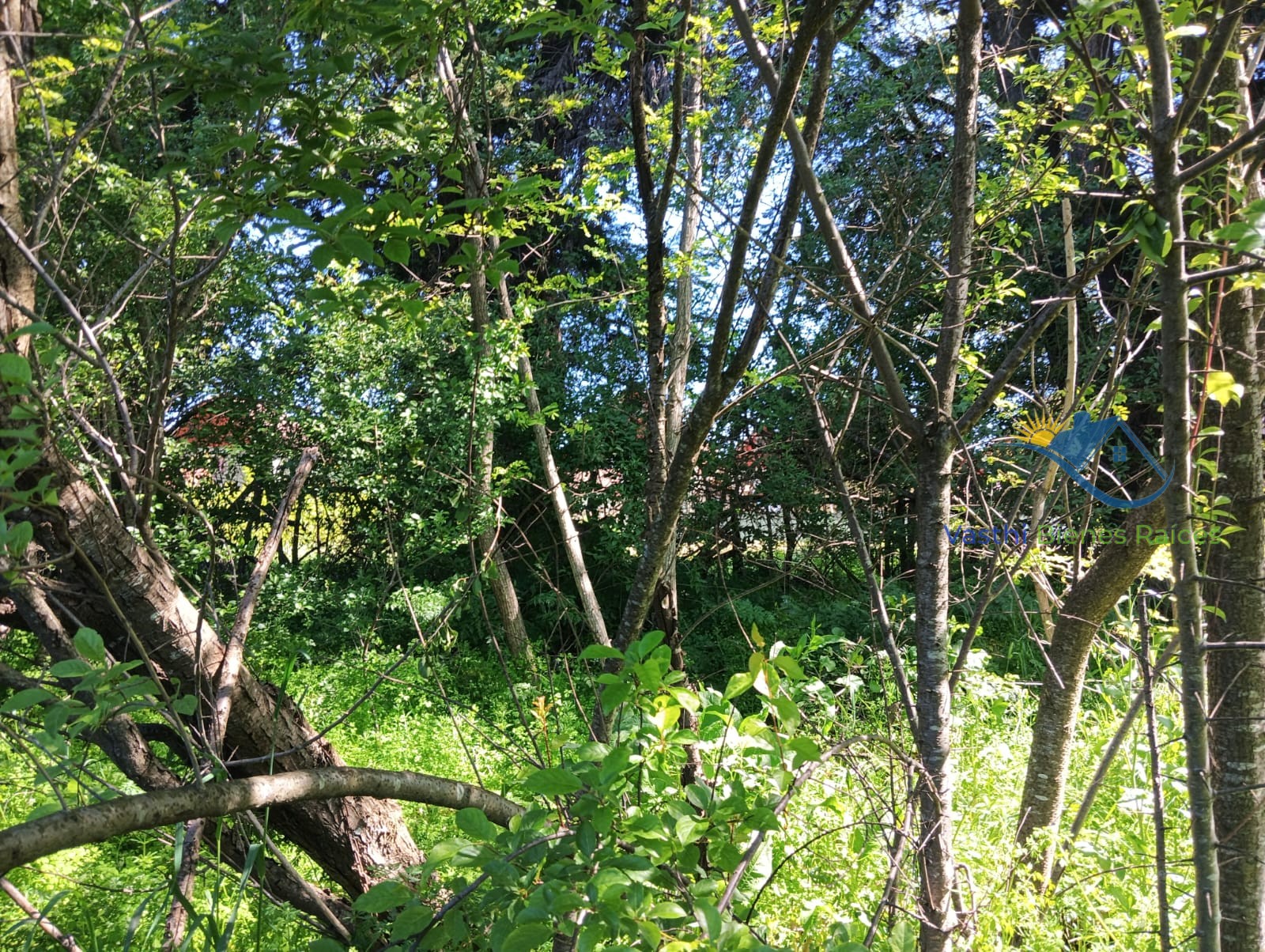 Imagen de WhatsApp 2025-10-08 a las 12.04.34_c47069eb