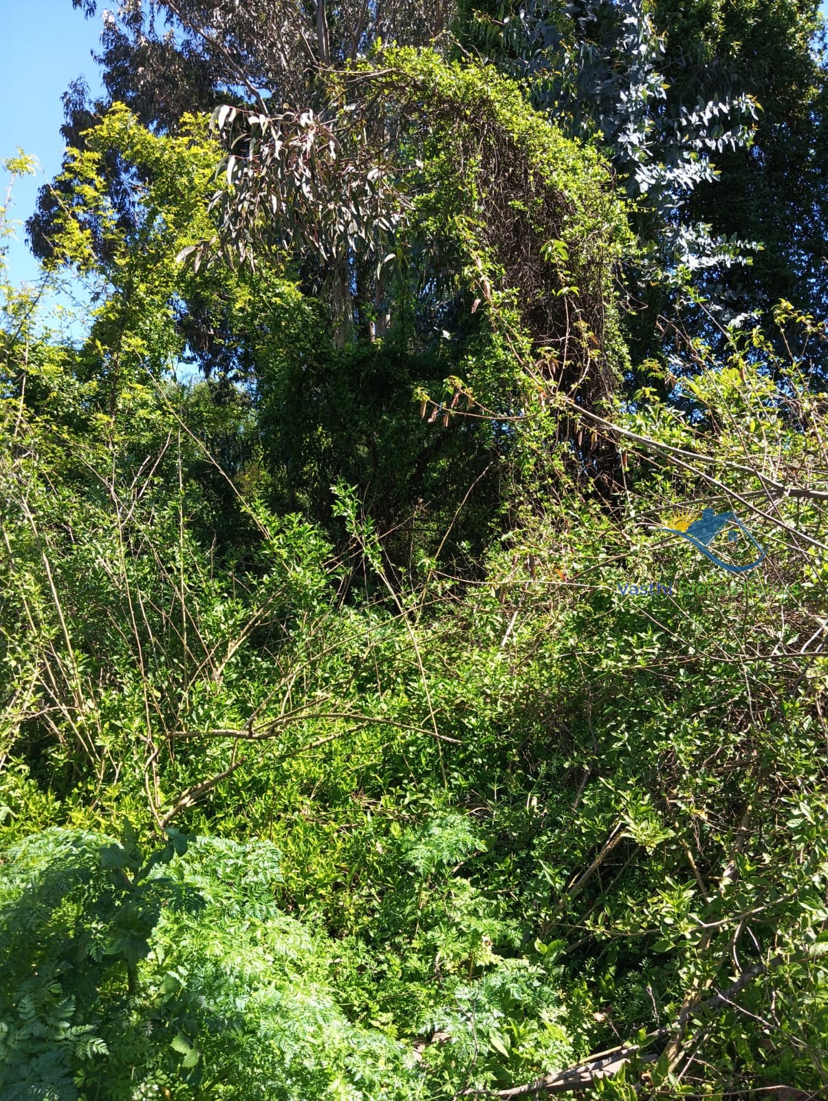 Imagen de WhatsApp 2025-10-08 a las 12.04.35_b9ea8083