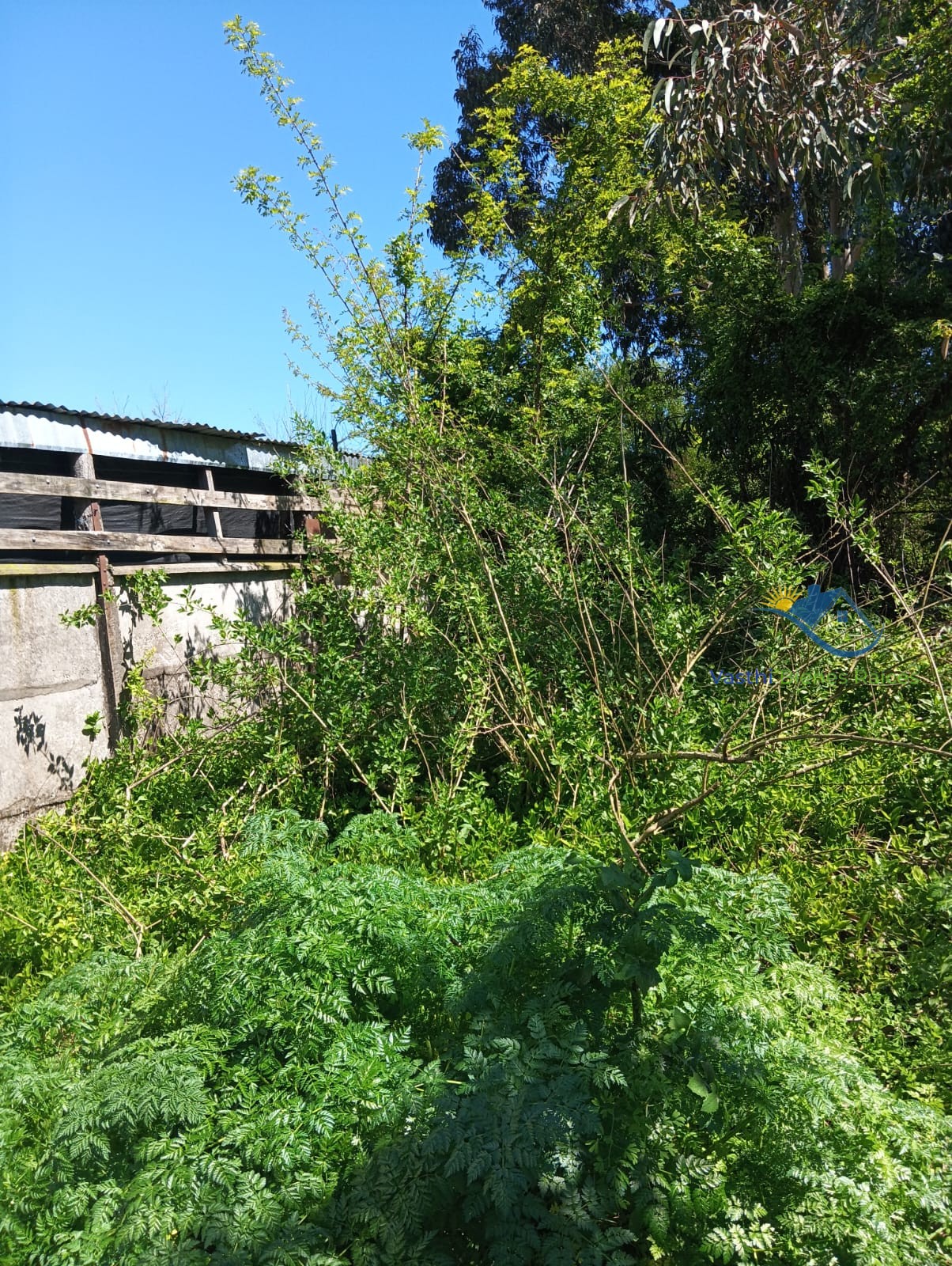 Imagen de WhatsApp 2025-10-08 a las 12.04.36_9cc5727a