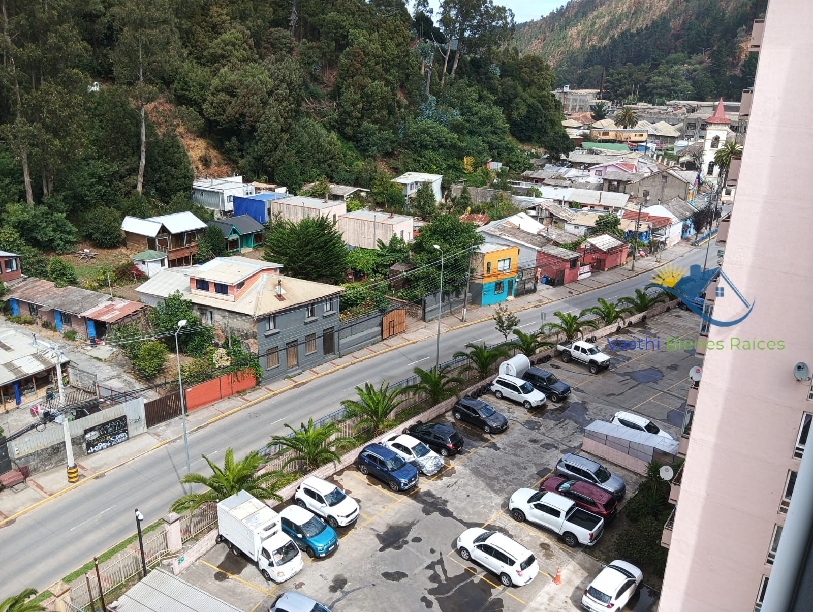 WhatsApp Image 2026-02-20 at 10.53.52