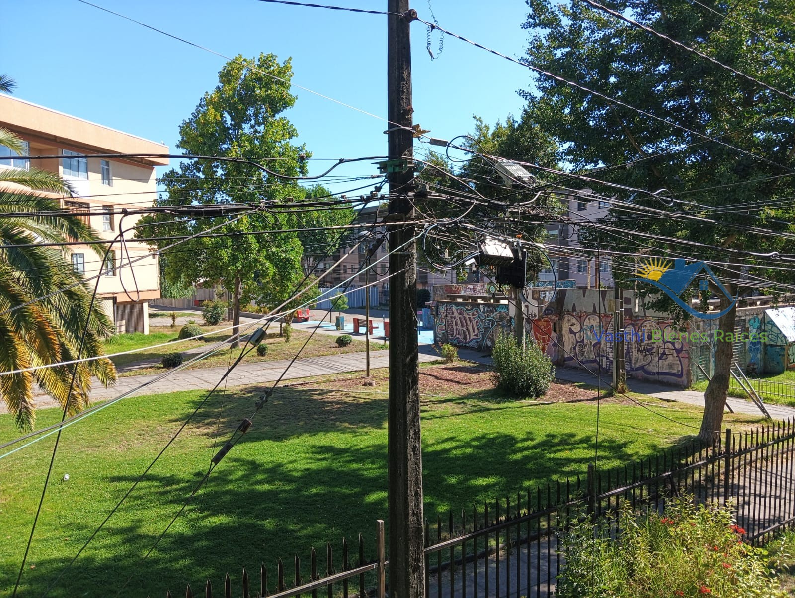 WhatsApp Image 2026-02-22 at 20.50.34