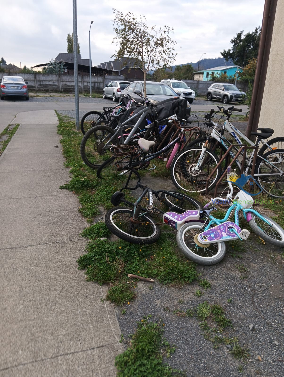 WhatsApp Image 2026-04-13 at 20.25.23 (1)